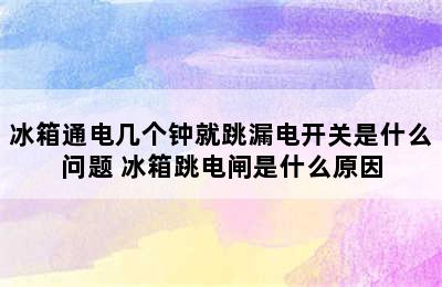 冰箱通电几个钟就跳漏电开关是什么问题 冰箱跳电闸是什么原因